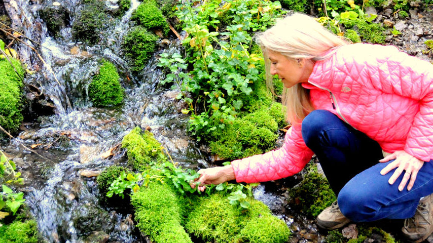 ISUN Founder Bunnie Gulick by Our Mountain Stream