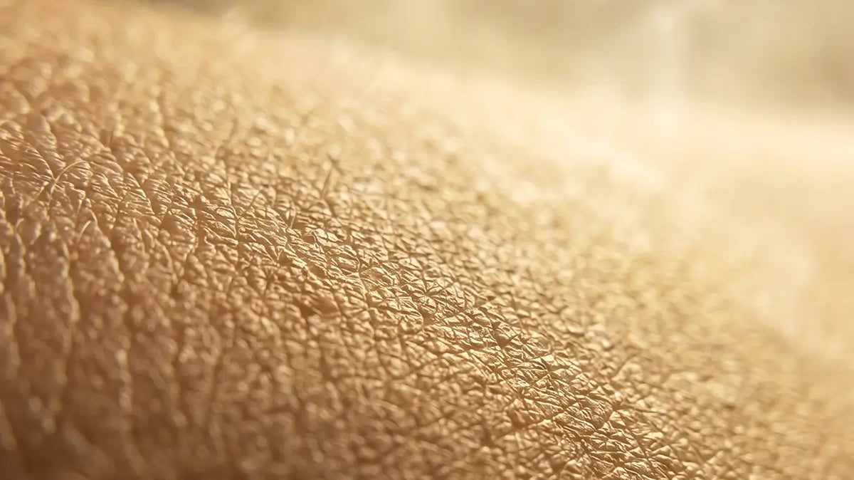 A close up of the skin