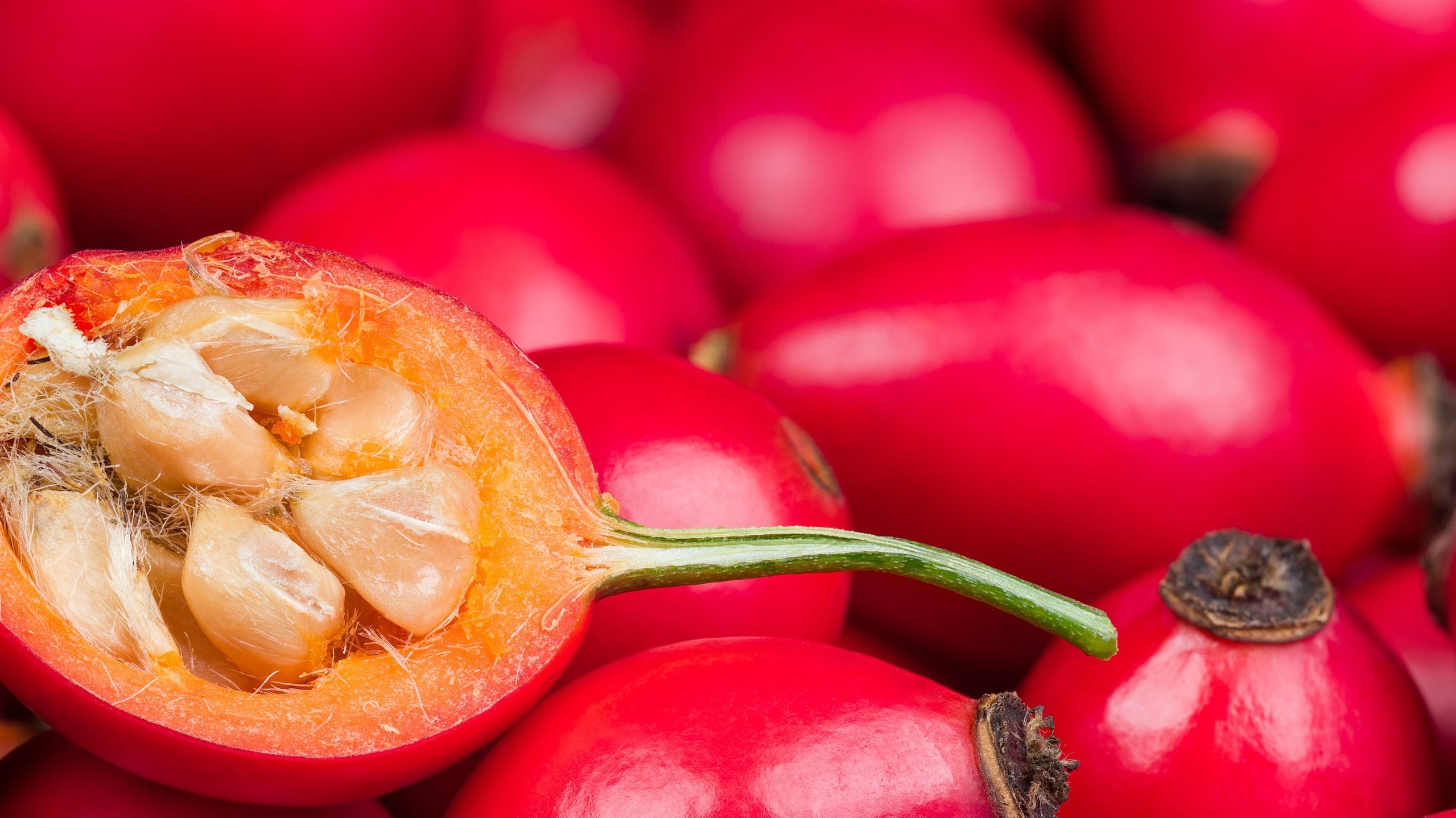 Half of a rosehip showing the inner seeds lying on a bed of rosehips.