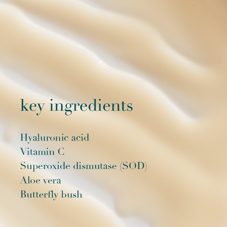 List of key ingredients on a product texture background