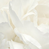 Peony