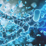 Probiotic