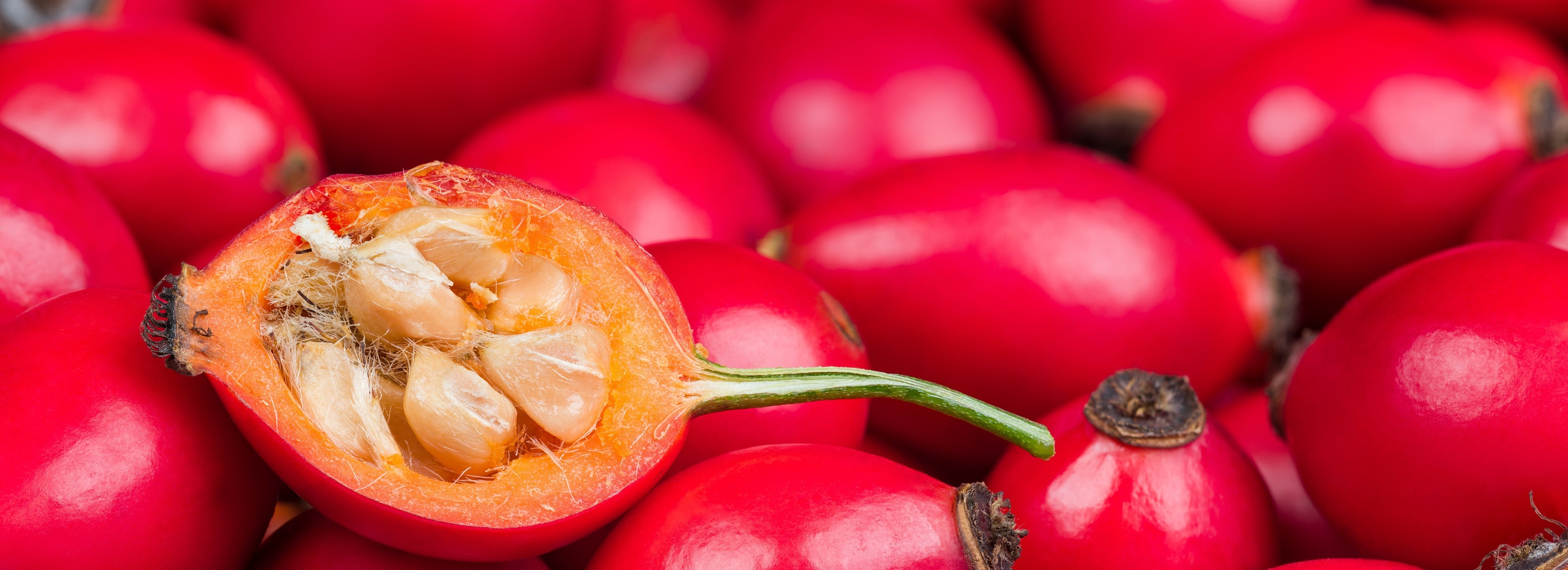 Half of a rosehip showing the inner seeds lying on a bed of rosehips.