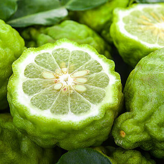 Bergamot