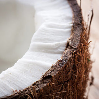 Coconut Oil