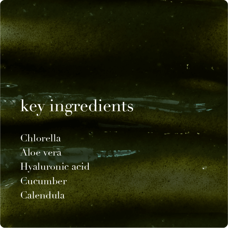 Text overlay on a algae background listing key ingredients 