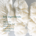 Herbal Shea Butter Face & Body Moisturiser