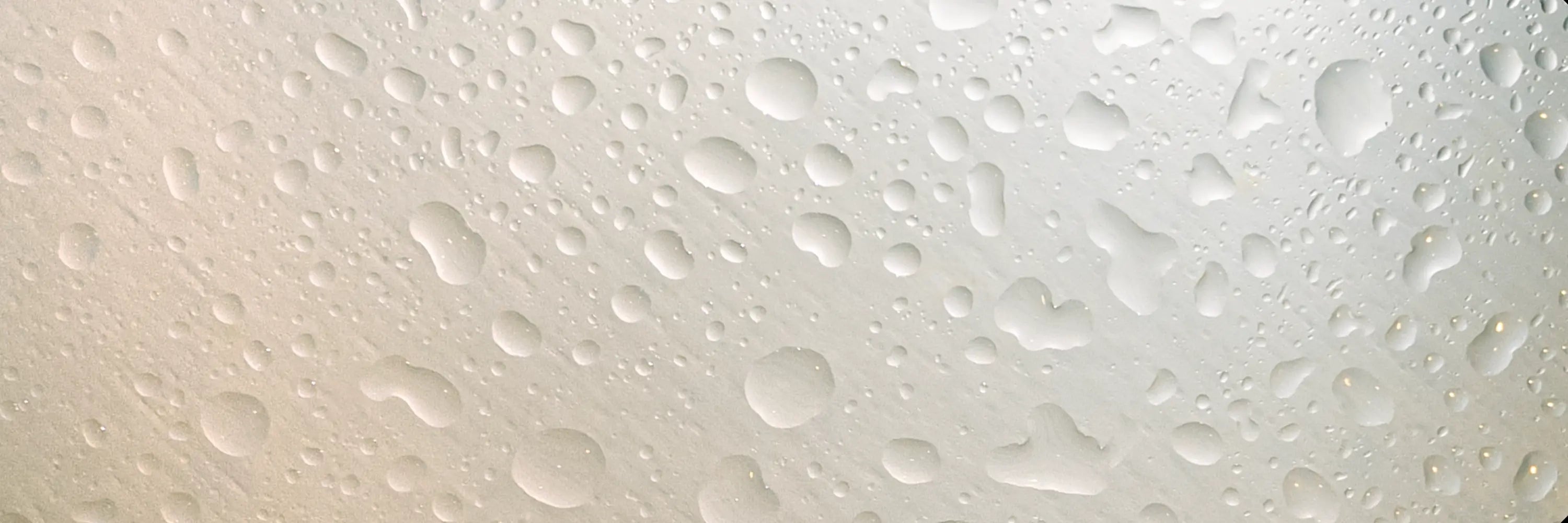 Close-up of water droplets on a glass surface with a light background