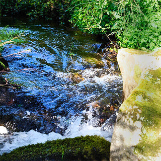 Mountain spring water