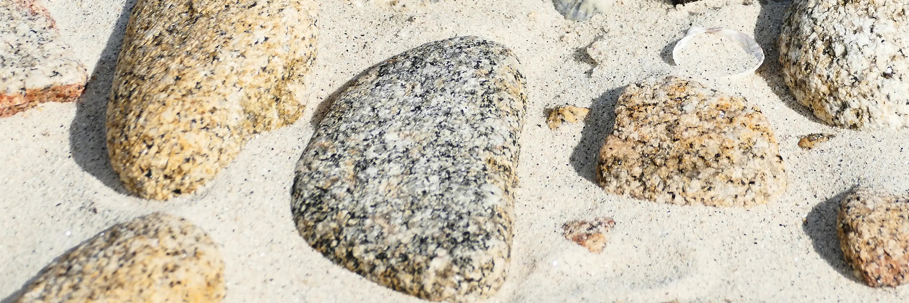 Close-up of pebbles on a sandy surface